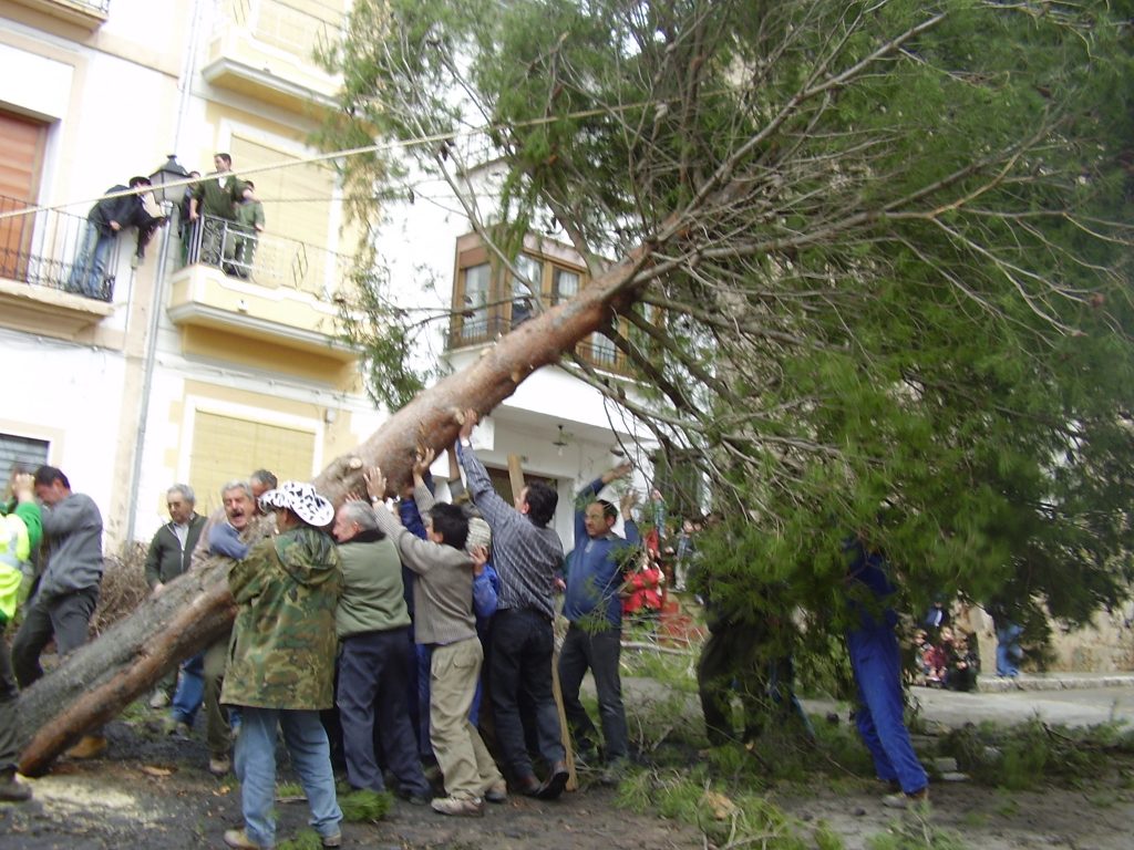 Festes del Pi